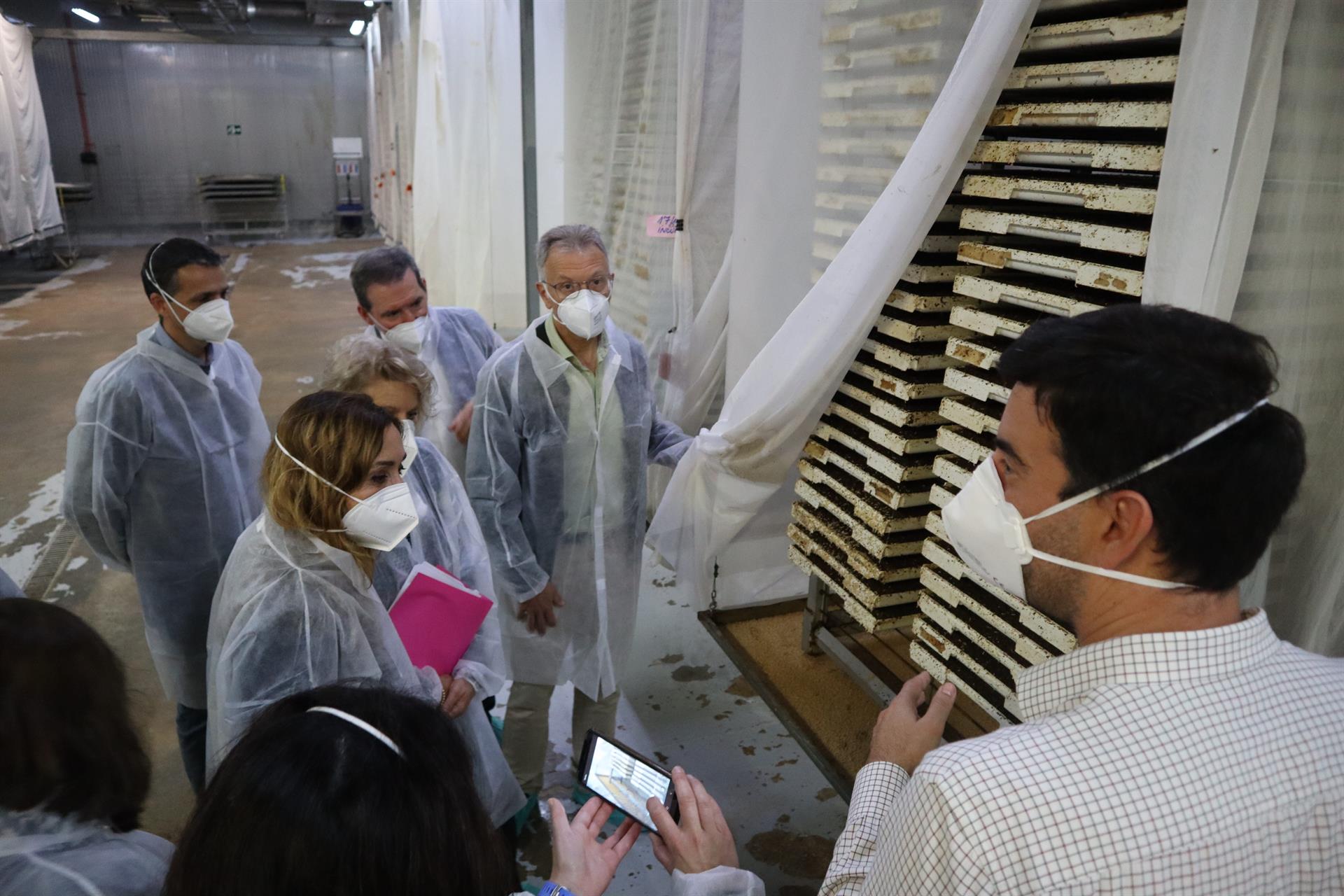 El Consell demana a la Comissió Europea que estenga el tractament de fred a altres productes agraris