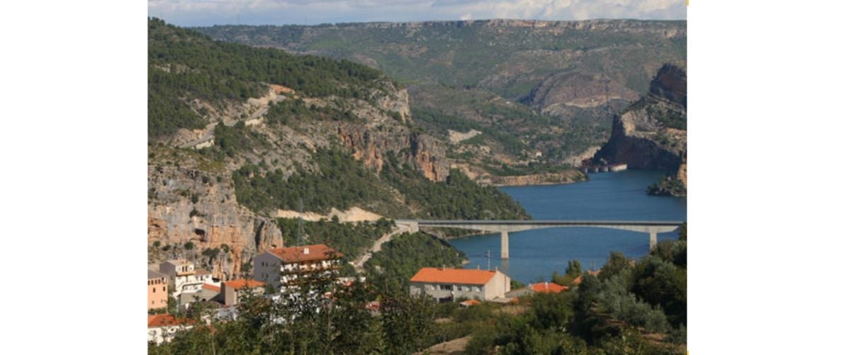 L’Associació Cultural Bassot organitza una jornada de reforestació a Cortes de Pallás