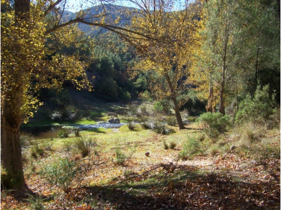 El Paratge Natural de Tabarla, a Iàtova