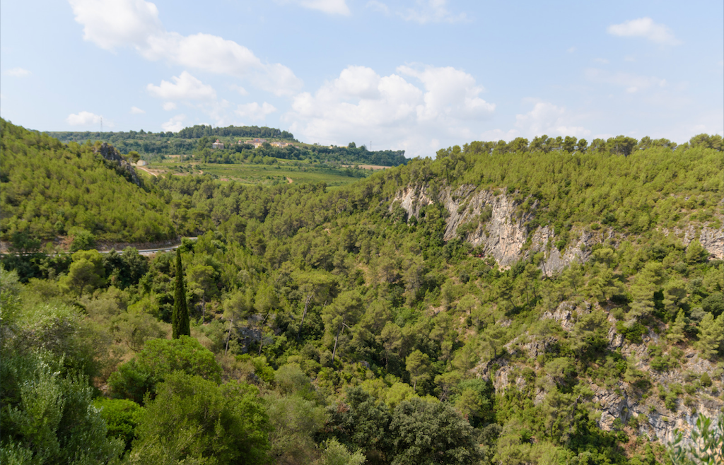 Educació crea el projecte «Guardabosc» per a sensibilitzar l’alumnat en la prevenció d’incendis