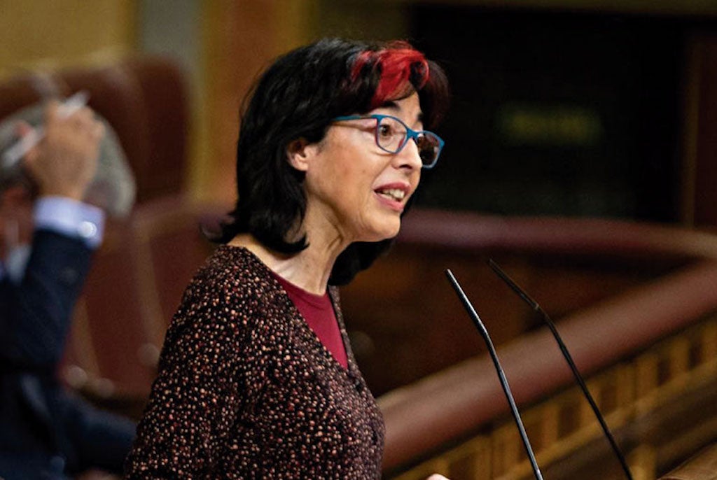 La diputada al Congrés d’Unides Podem per Castelló, Marisa Saavedra