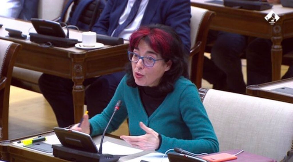 La diputada d’Unides Podem al Congrés per Castelló, Marisa Saavedra