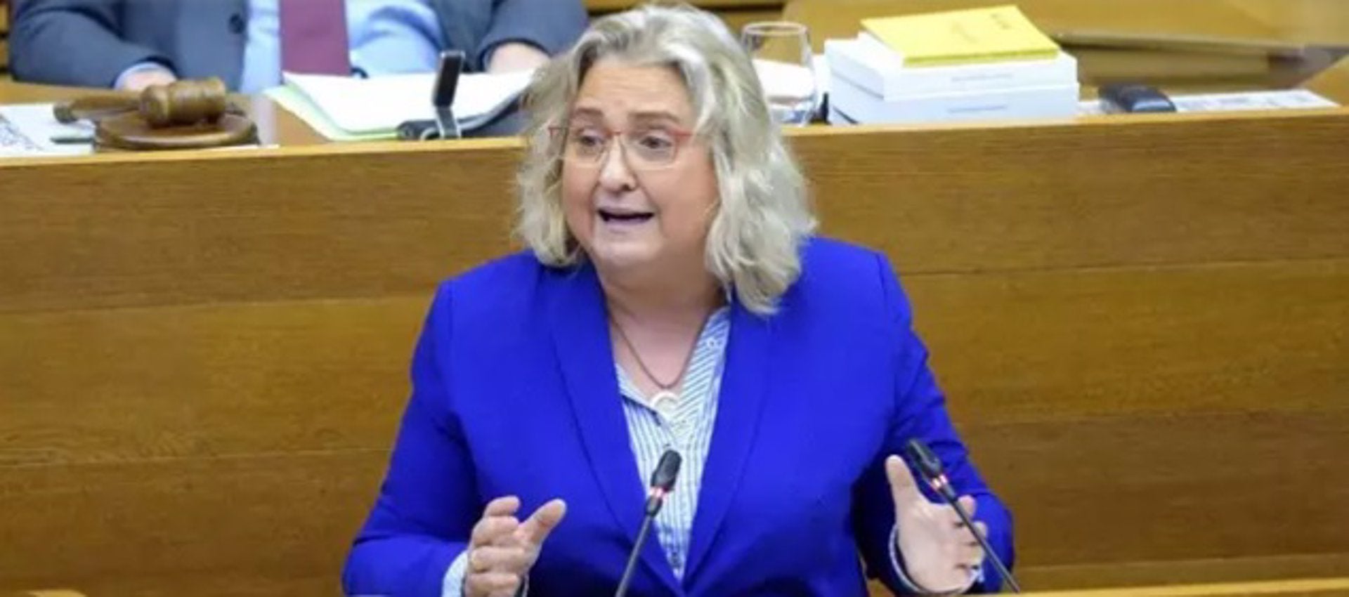 María José Ferrer San Segundo, viceportaveu del PP a l'Ajuntament de València