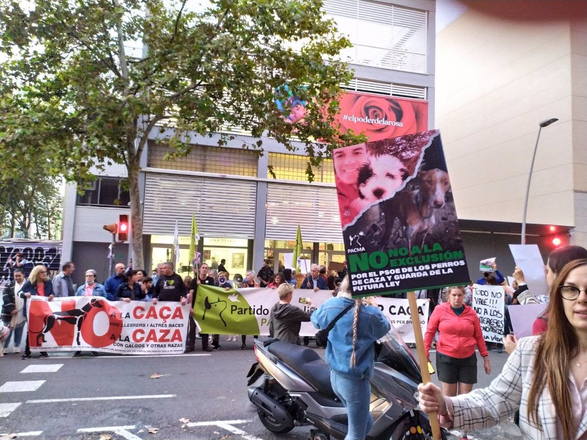 El PACMA es manifestarà a València i Alacant el 8 de gener contra l’exclusió de gossos de caça en la llei de benestar