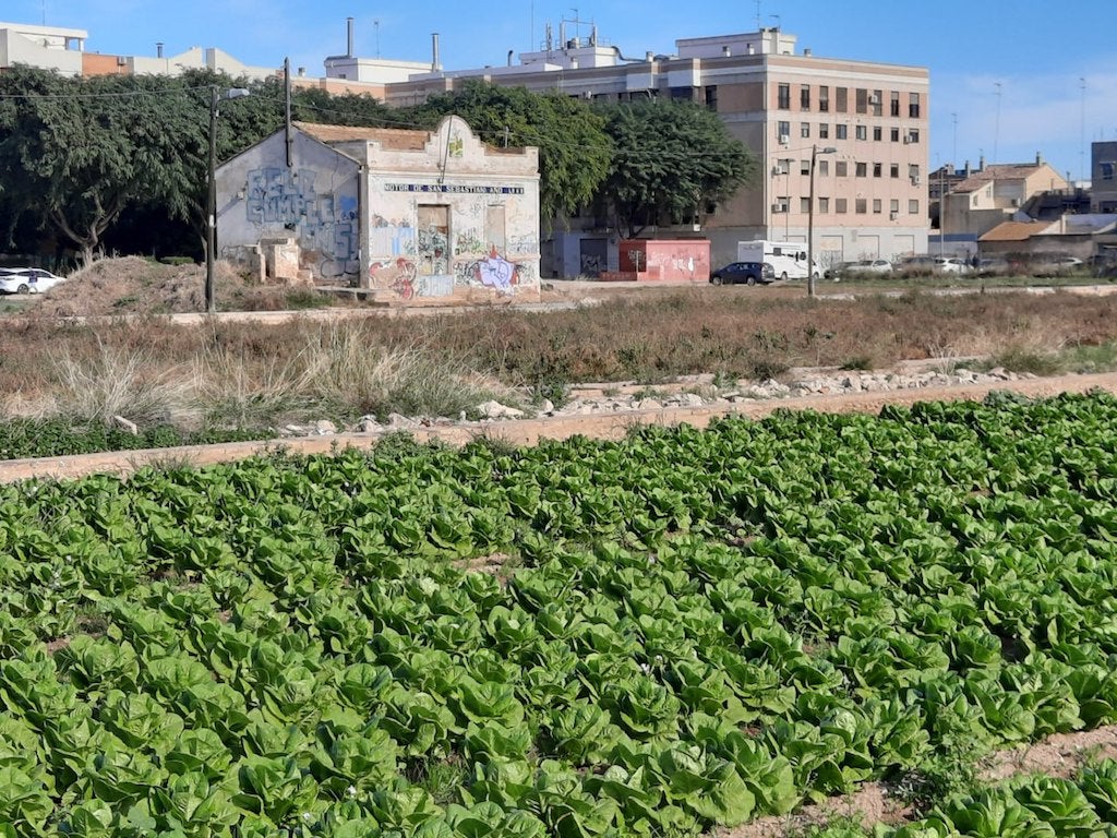 Zona d'horta de la Font Baixa, a Alfafar, amb el motor de Sant Sebastià, una de les edificacions a protegir | Compromís per Alfafar