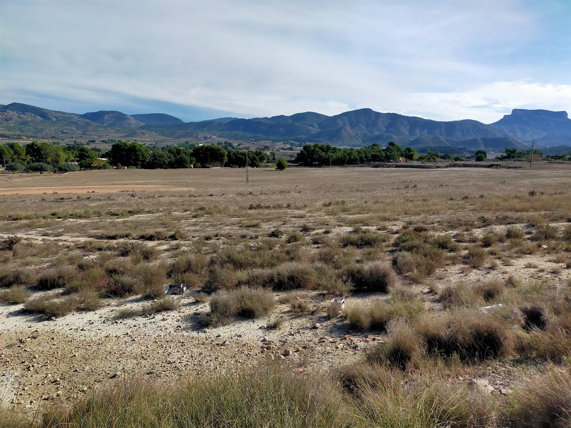 Elda disposarà d’una planta solar que produirà energia per a 12.500 llars