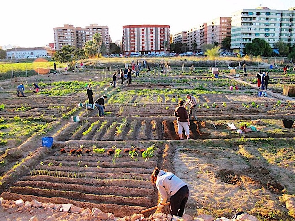 L’Observatori Cultural de la UV explora en un seminari l’autogestió «des dels marges de la ciutat»