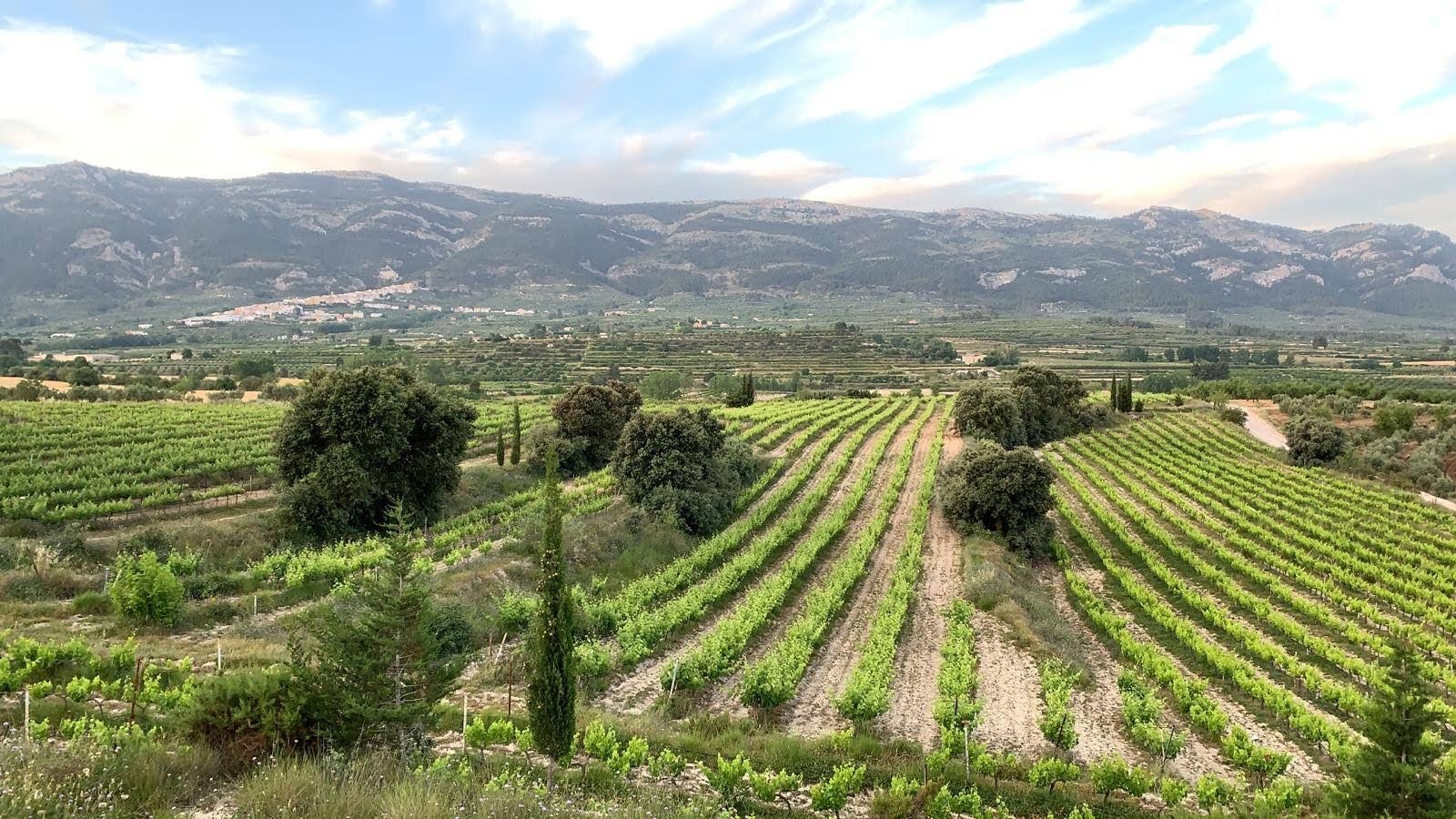 En defensa del minifundisme