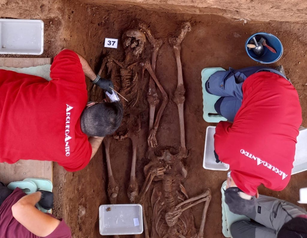 Una exposició mostrarà 5 anys d’exhumacions i memòria a Castelló de la Plana