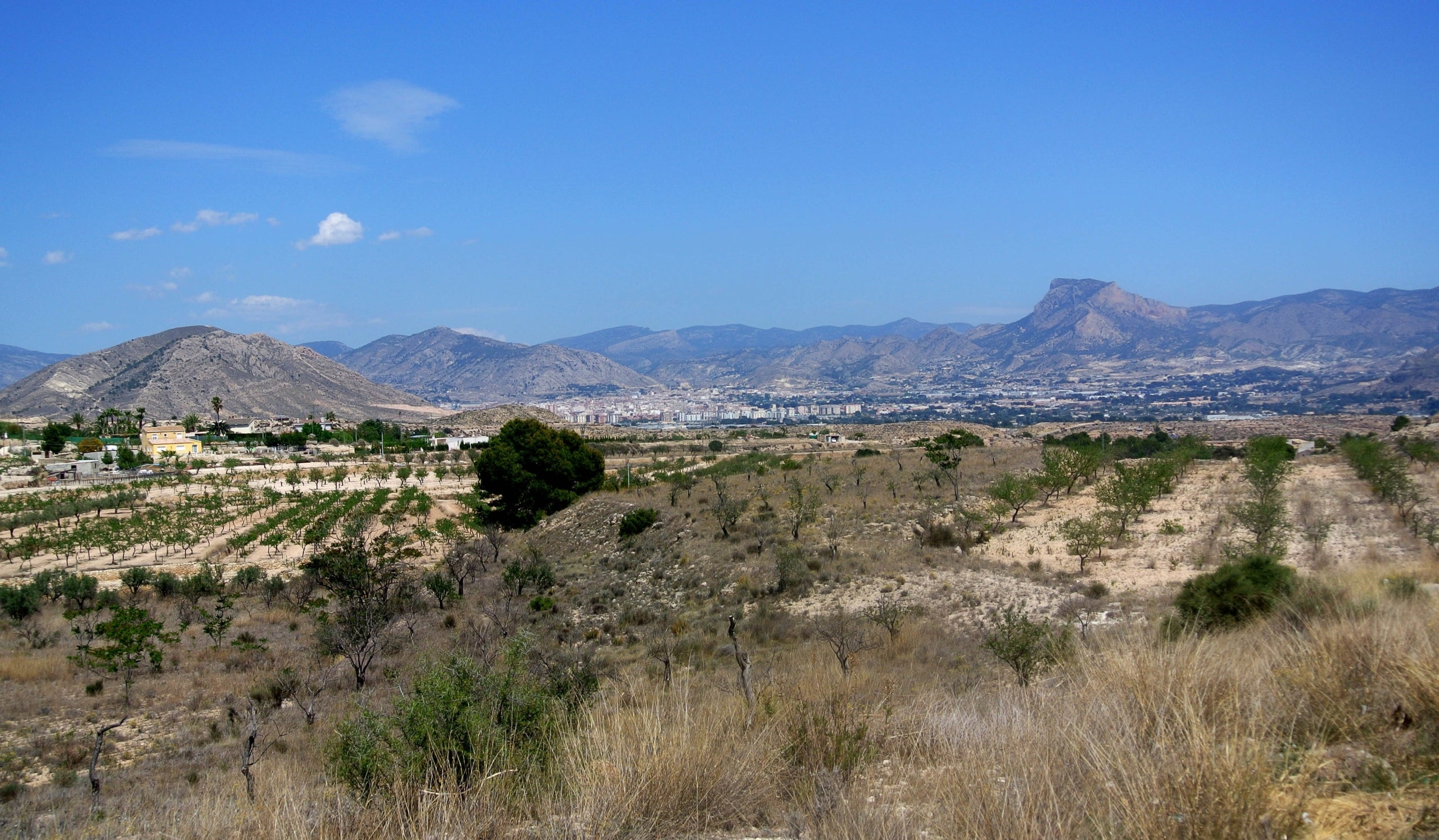 Muntanyes a prop de Monòver (Vinalopó Mitjà)