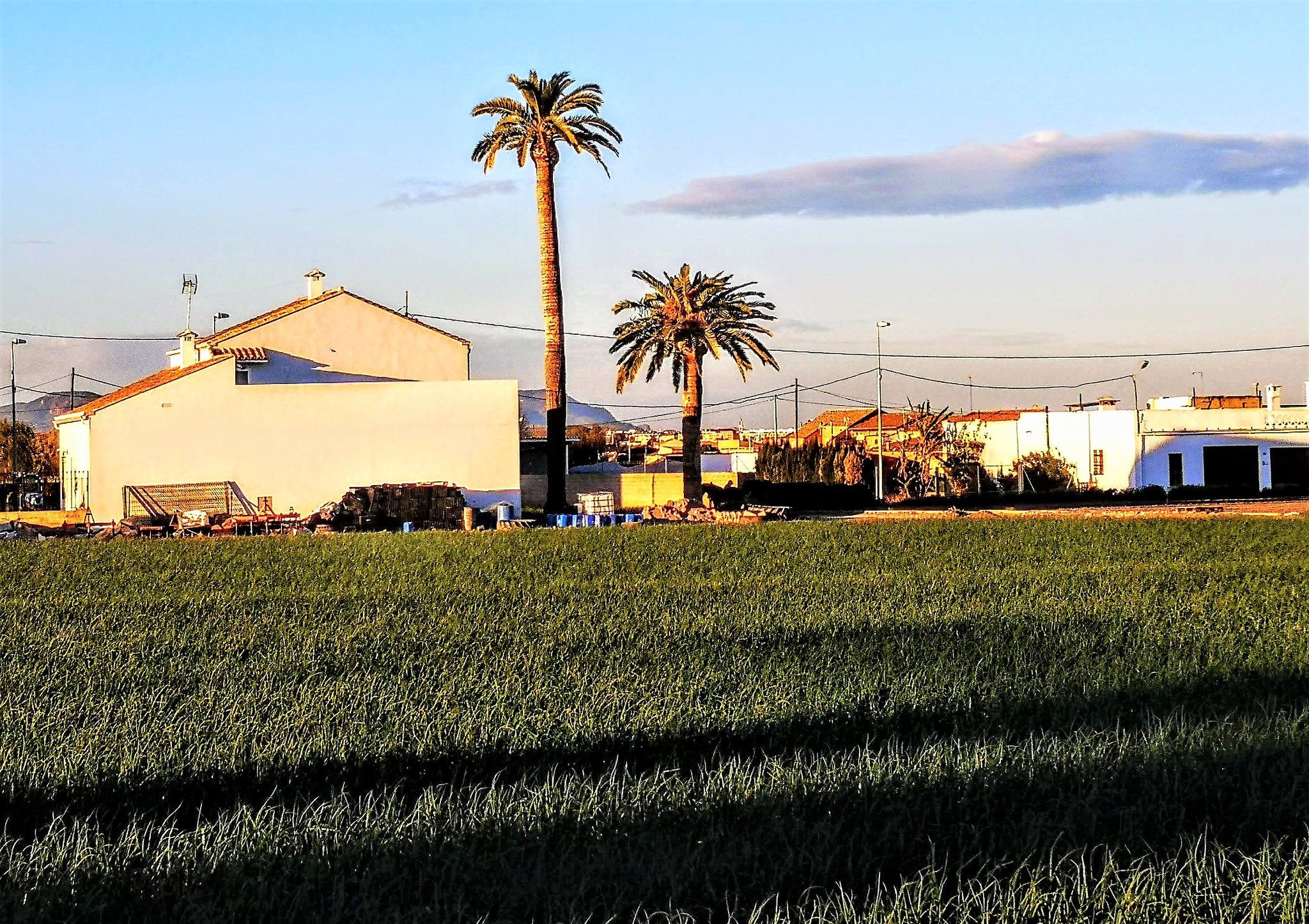 Tres de cada quatre persones que viuen al medi rural veuen impossible emprendre