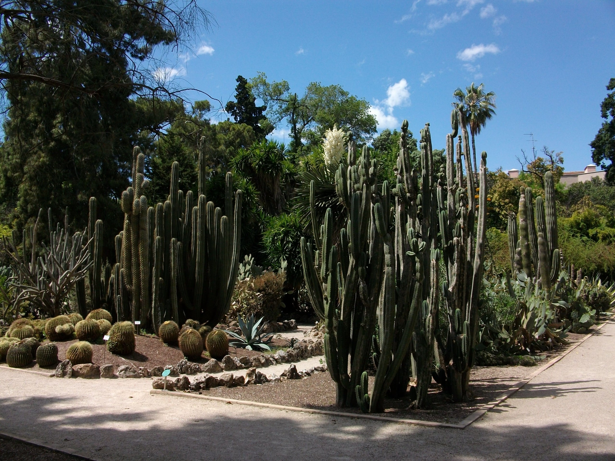 Jardí Botànic de València