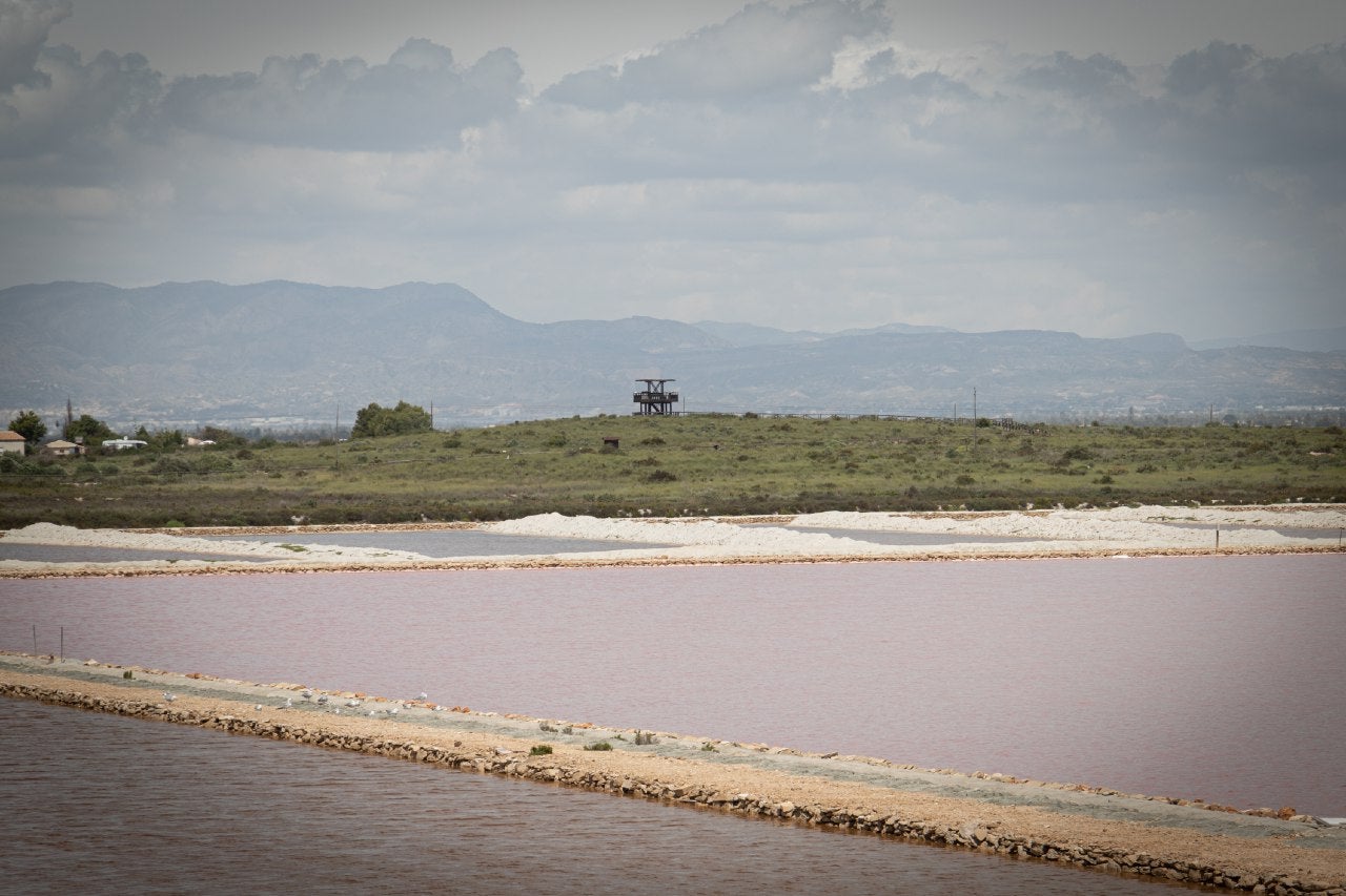 Salines de Santa Pola