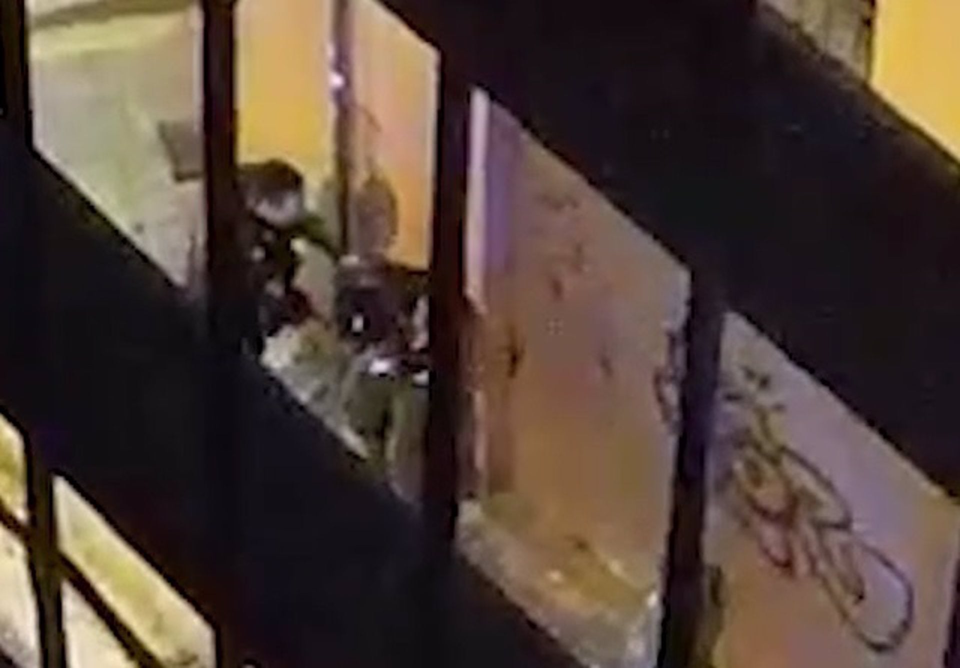 Arxiven l’expulsió del jove hondureny que va ser presumptament agredit per un agent de policia de Rocafort