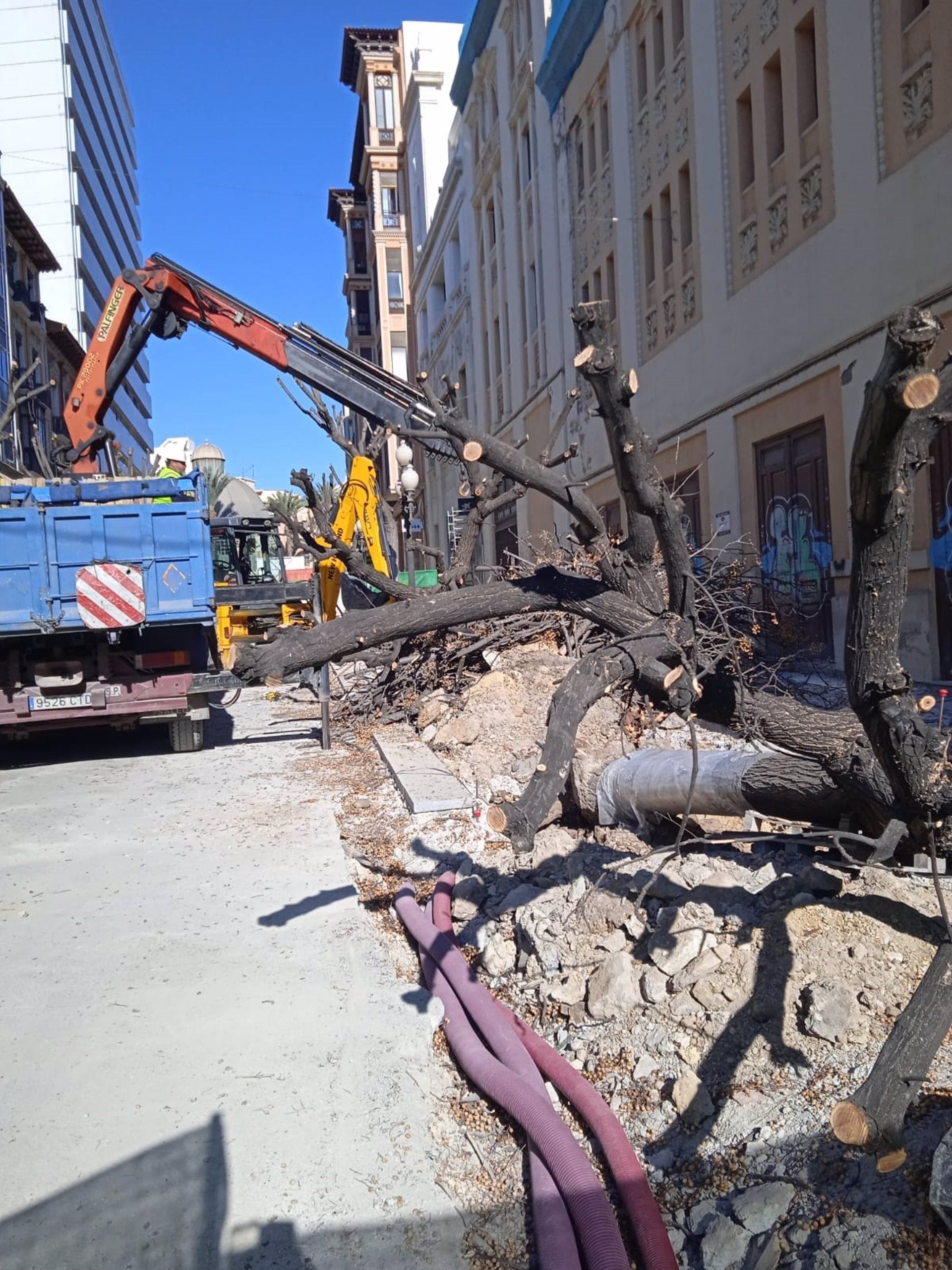 Els veïns d’Alacant denuncien la retirada de les mèlies d’una avinguda cèntrica