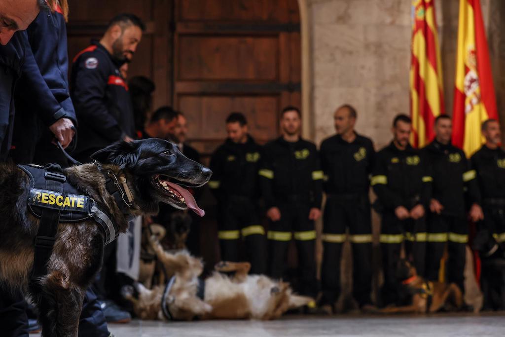 Acte d'homenatge als bombers i gossos de rescat al Palau de la Generalitat | Rober Solsona | EP