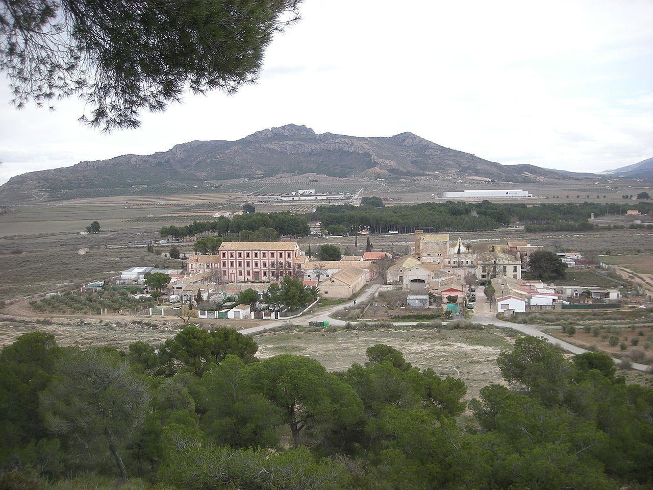 Colònia de Santa Eulàlia (Alt Vinalopó)