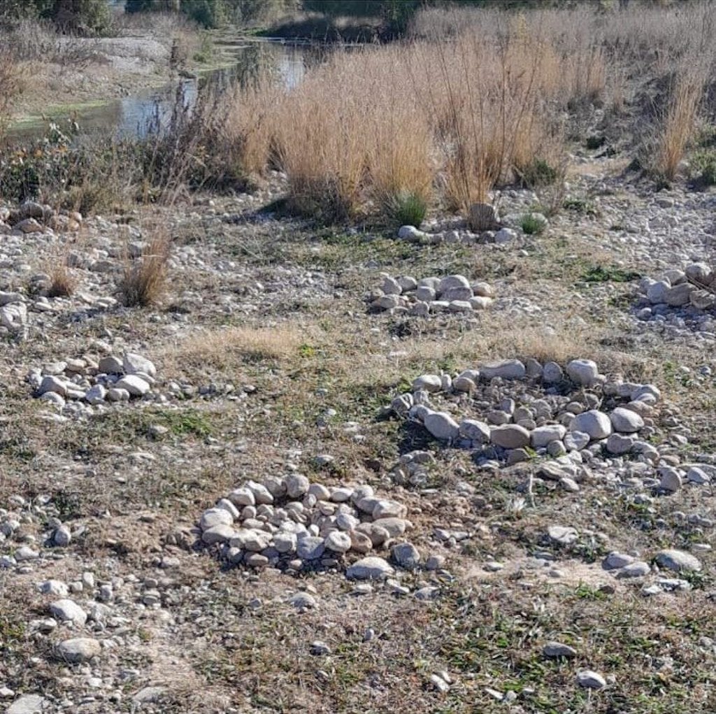 Roben la plantació del Dia de l’Arbre al riu Magre a Carlet
