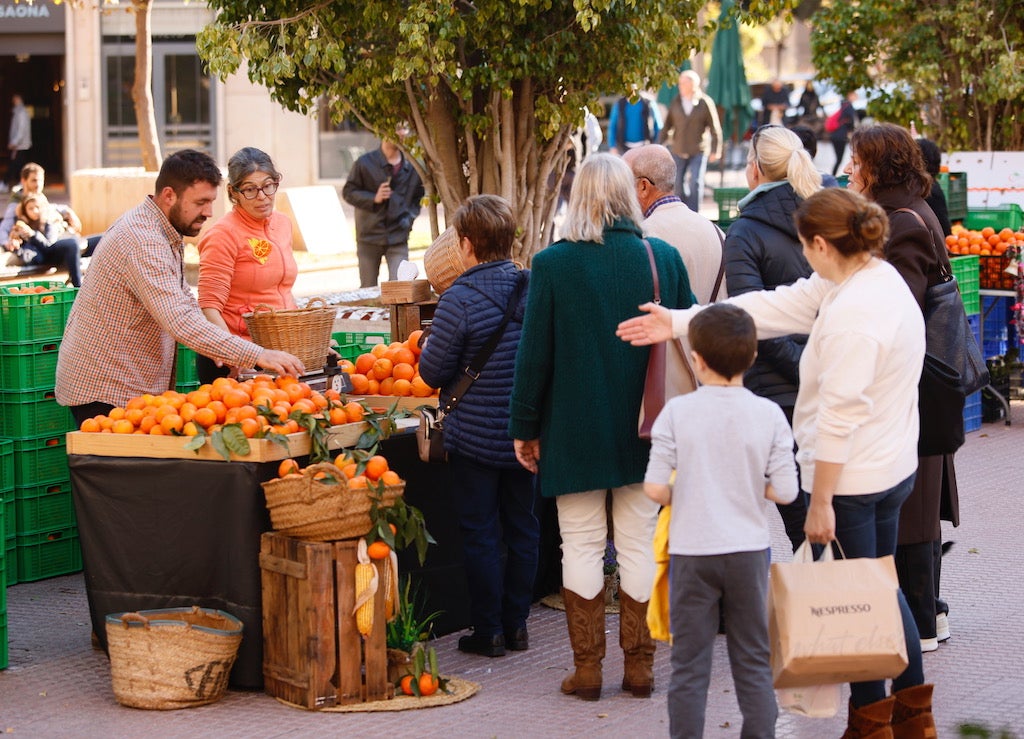 Castelló de la Plana impulsa un mercat agroecològic per fer front als reptes de la transició ecològica i la inflació