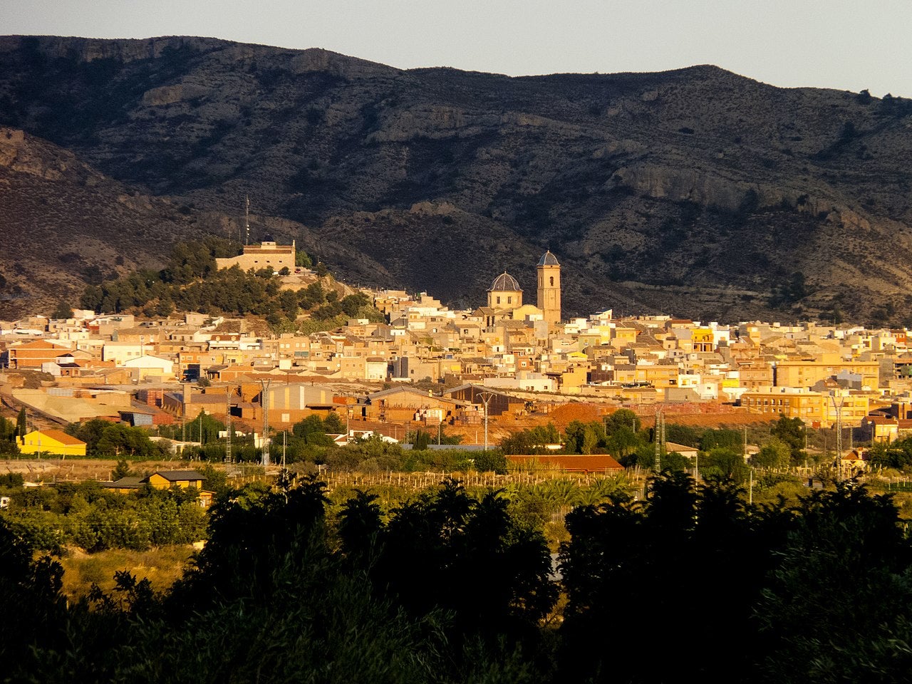 Panoràmica d'Agost (l'Alacantí)