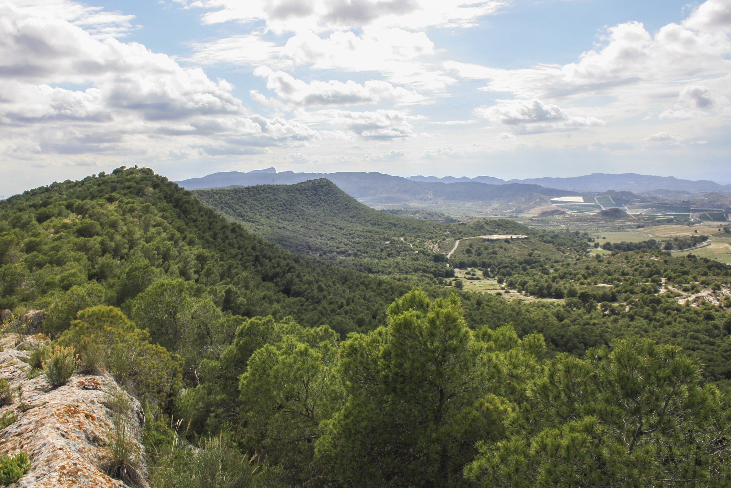 Serra d'Escalona, al Baix Segura