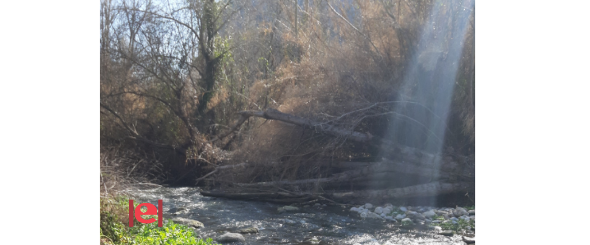Un passejada familiar pel riu Serpis a Beniarrés