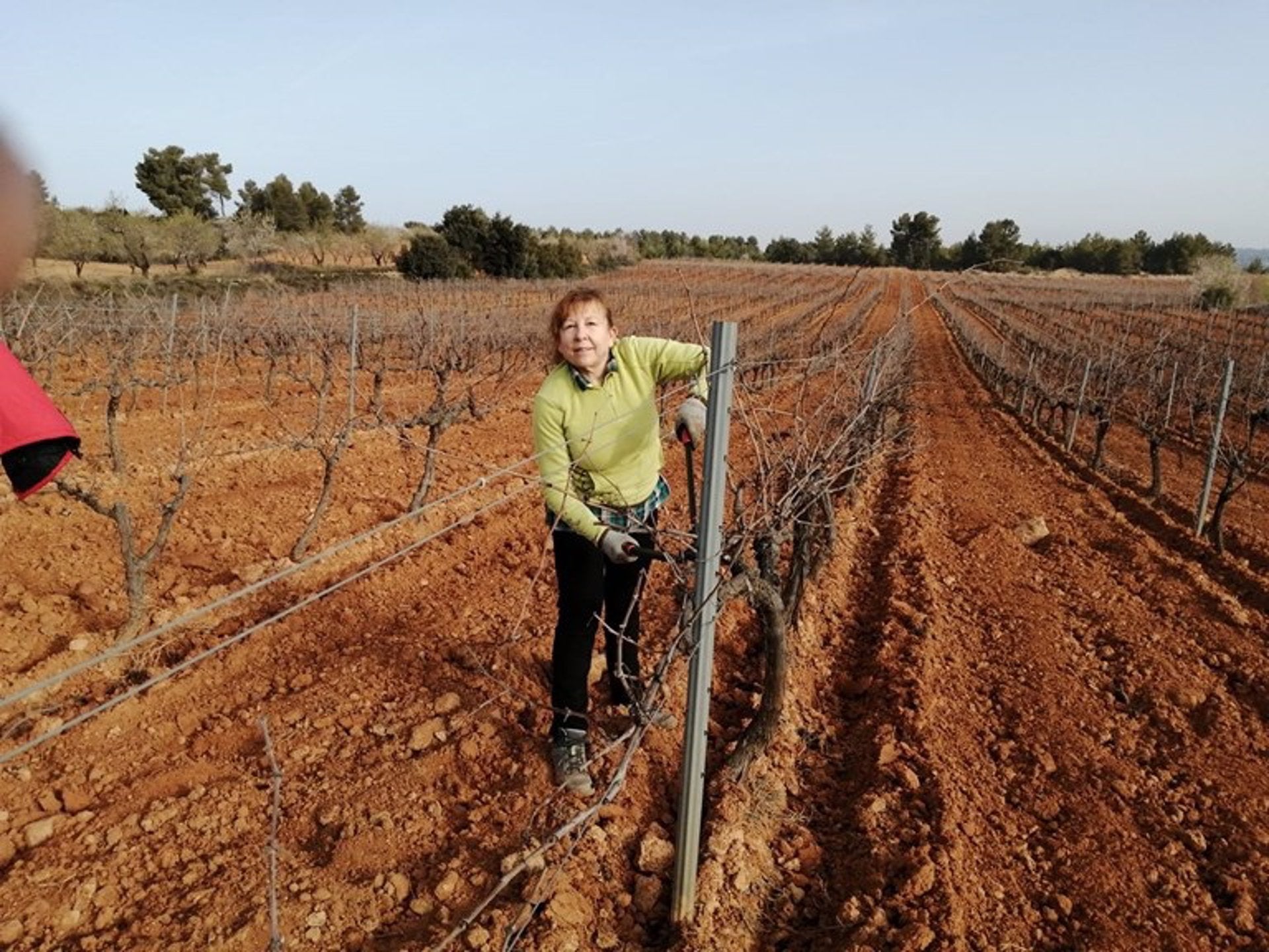 La Unió demana acabar amb la bretxa de gènere digital en el medi rural