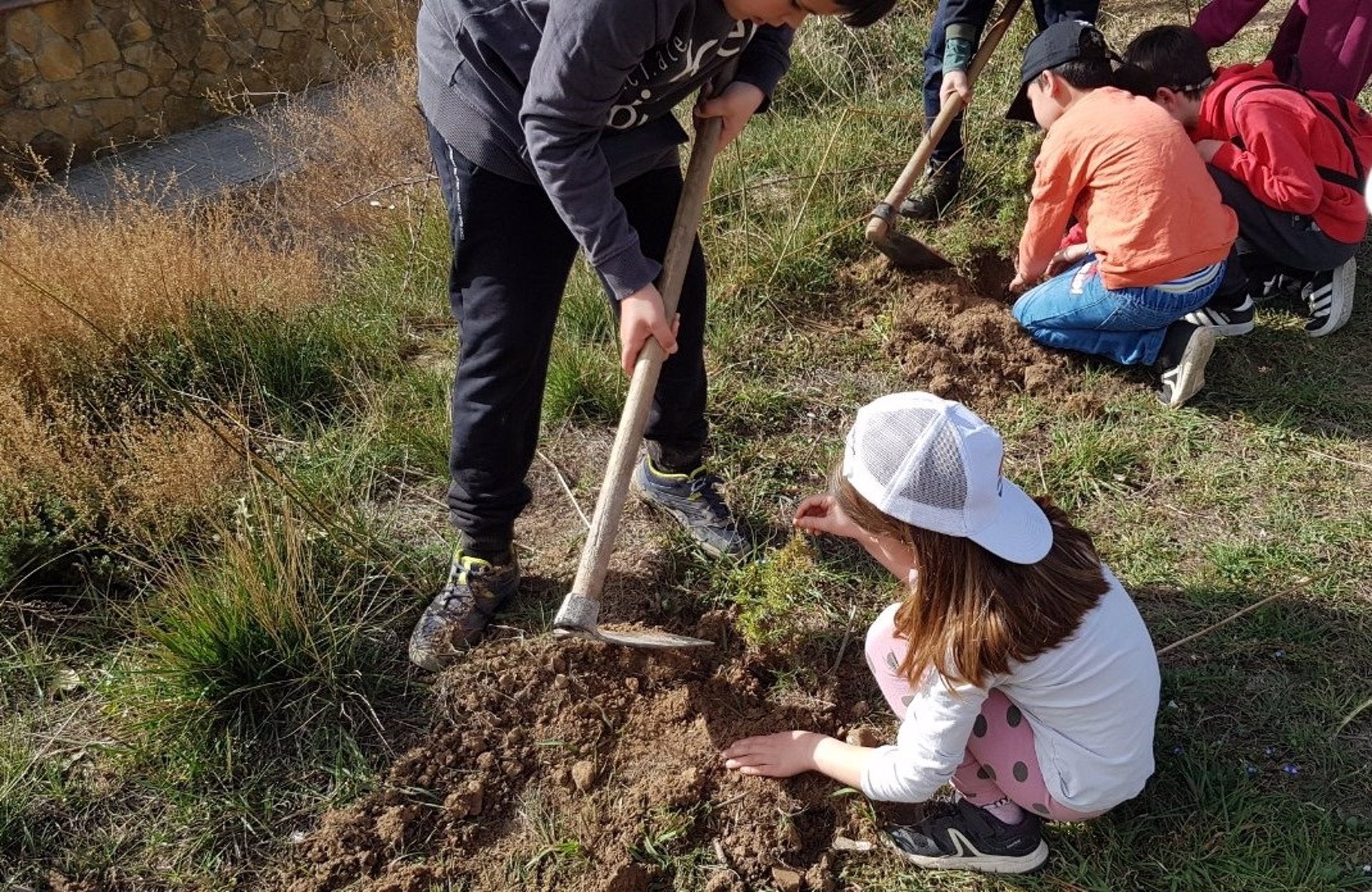 Un projecte educatiu ajuda a regenerar el mont després de l’incendi a l’Alt Palància
