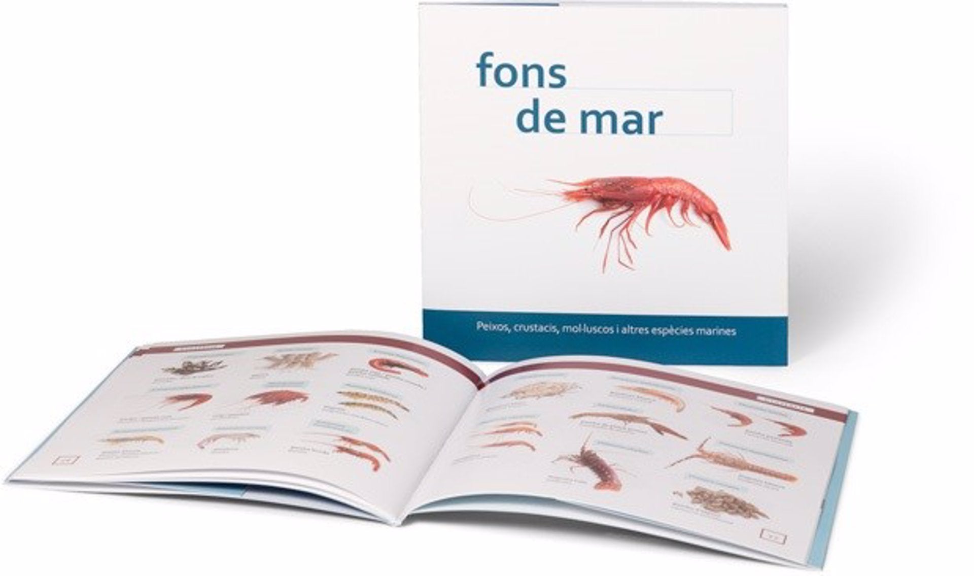 L’AVL presenta «Fons de mar», un vocabulari visual amb els noms en valencià de productes comercials