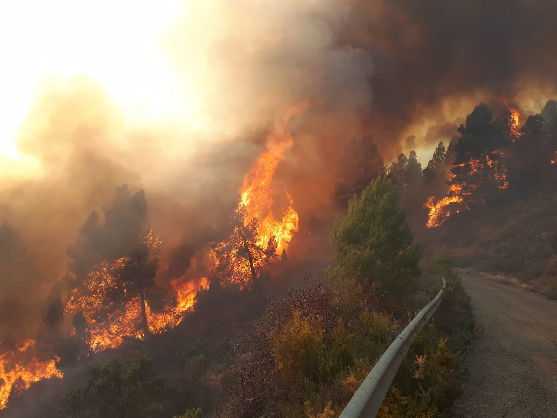 Incendi a Vilanova de Viver