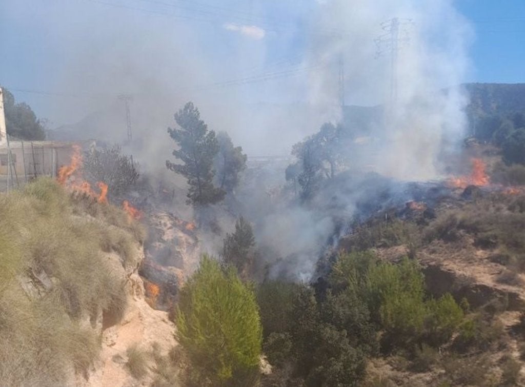 Un incendi forestal a Saix obliga a activar situació 1 del PEIF