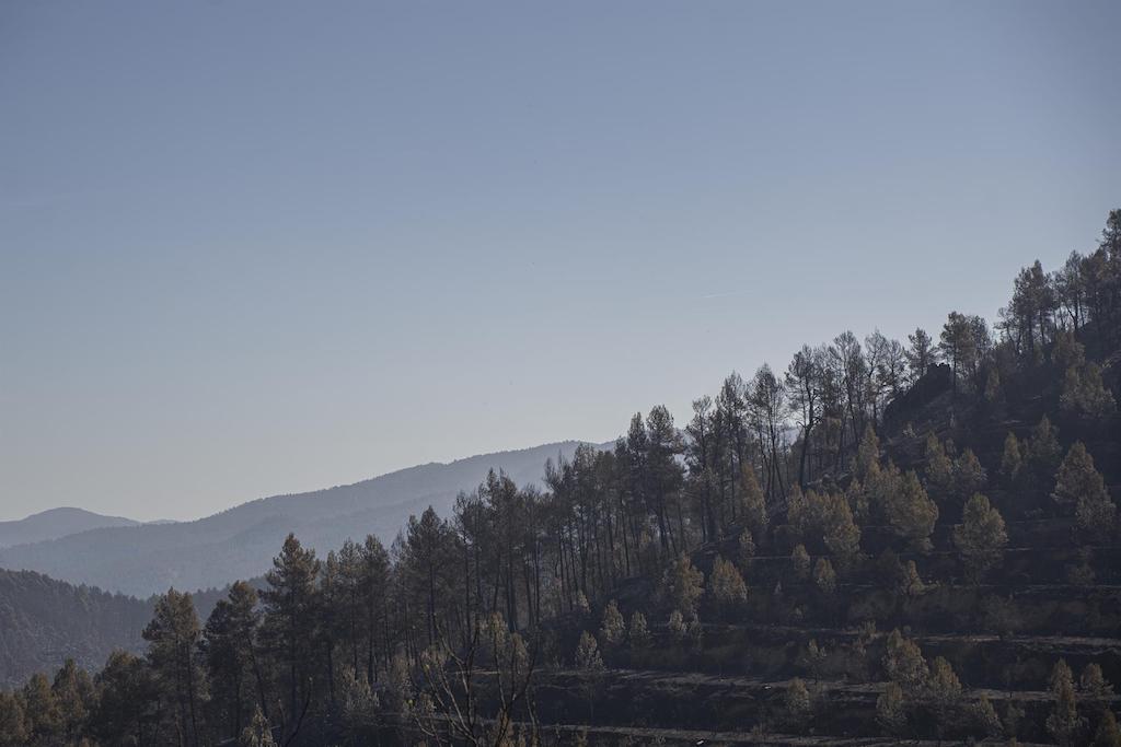 Una zona calcinada per l'incendi de l'Alt Millars | Jorge Gil | EP