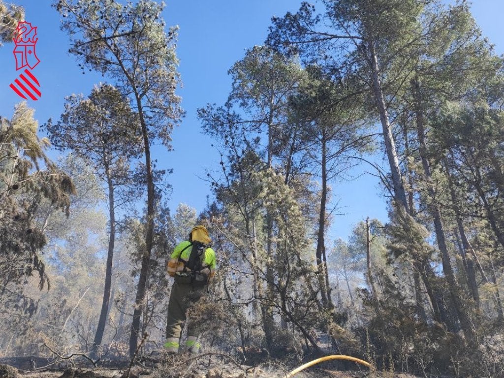 L’incendi de l’Alt Millars manté tres zones «sensibles», però les condicions són més favorables