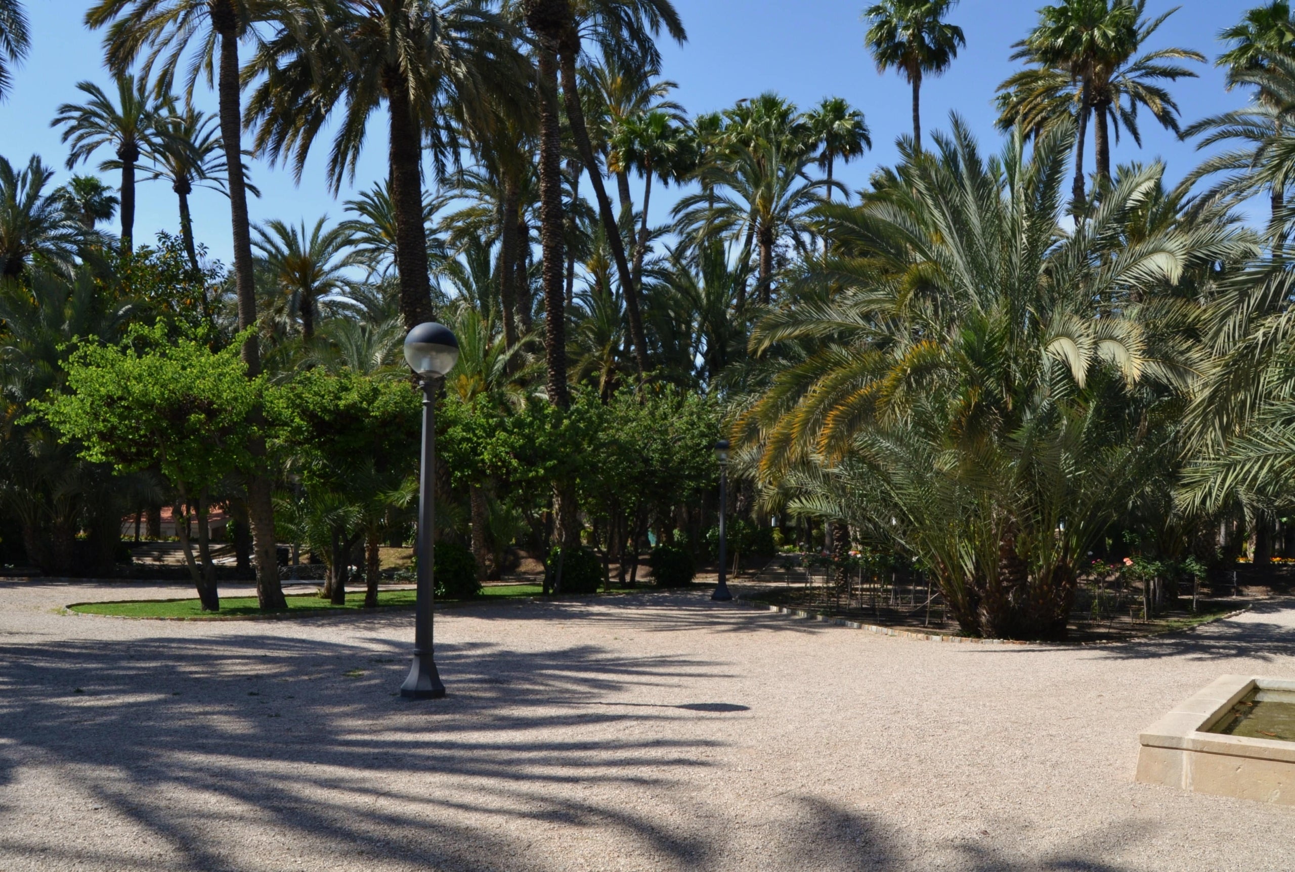 Parc municipal d'Elx