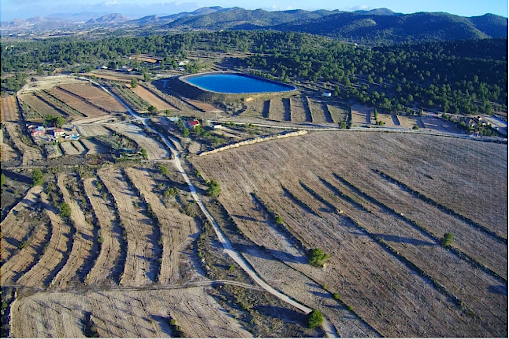 Camps vinya i ametler a Monòver (el Vinalopó Mitjà) amenaçats per projectes de macroplantes fotovoltaiques