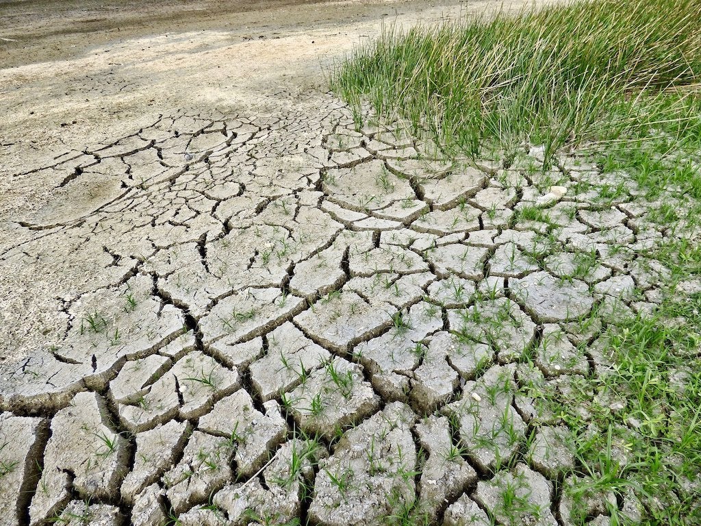 La temperatura a Europa puja el doble de ràpid que a la resta del planeta i la sequera és persistent