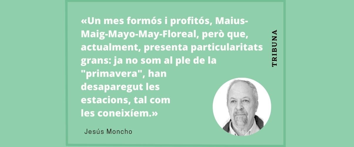 Maig: «Pizza Due Stagioni»