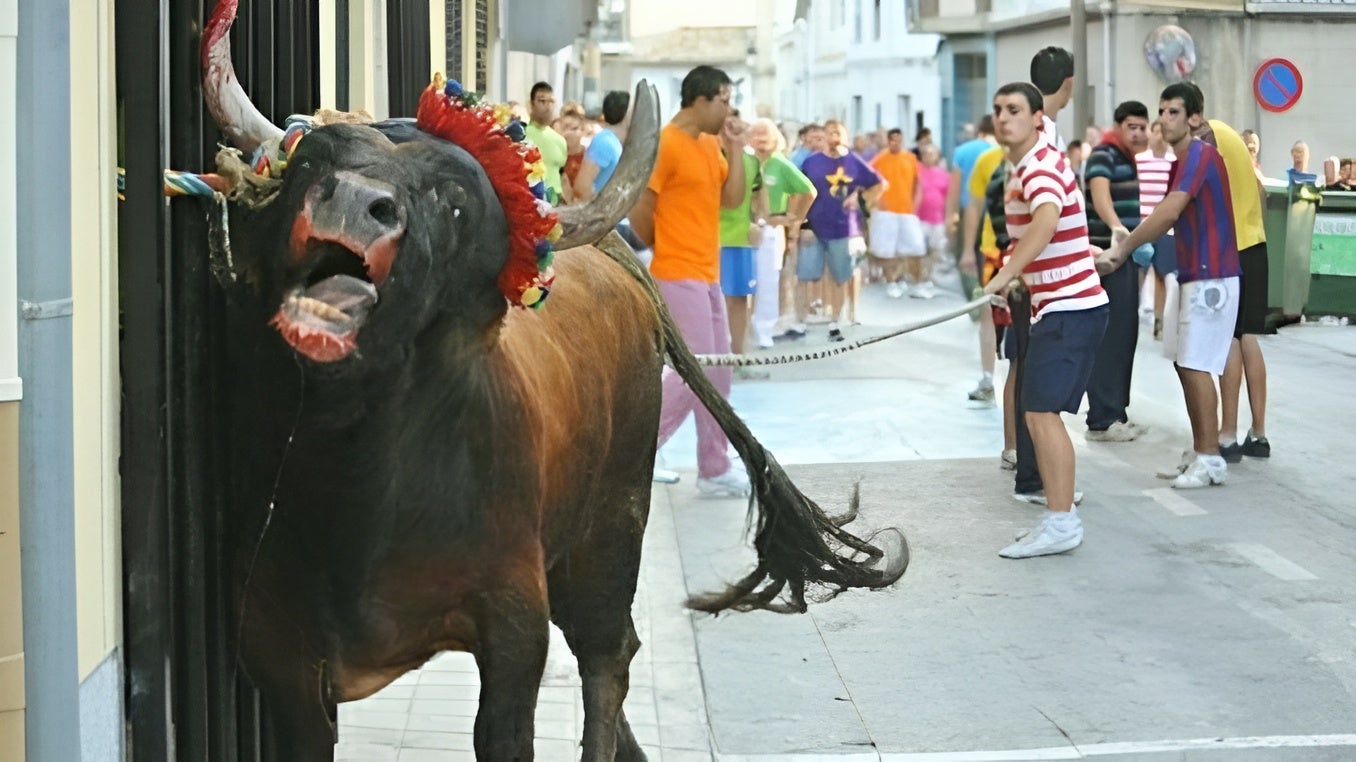 Convoquen per a dissabte una concentració a Alfafar contra les subvencions a la tauromàquia
