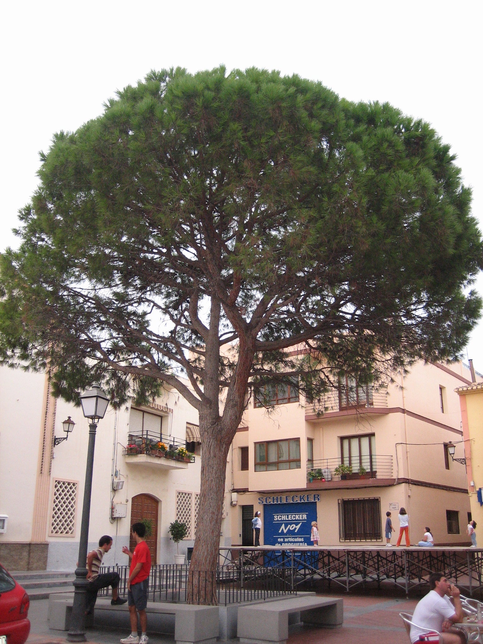 Plaça Major de l'Alfàs del Pi (Marina Baixa)