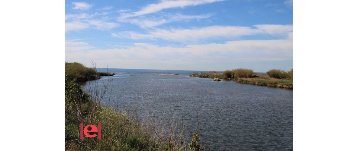 Caminada d’Almassora a les Goles del Millars