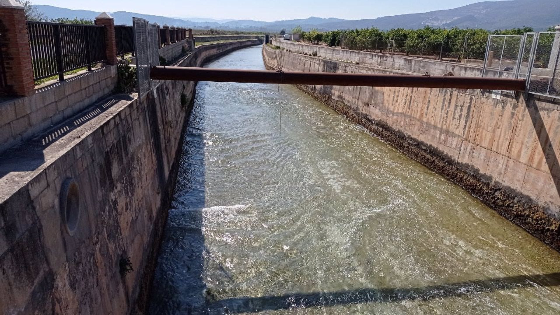 L’horta del Vinalopó respira amb l’arribada d’aigua del Xúquer