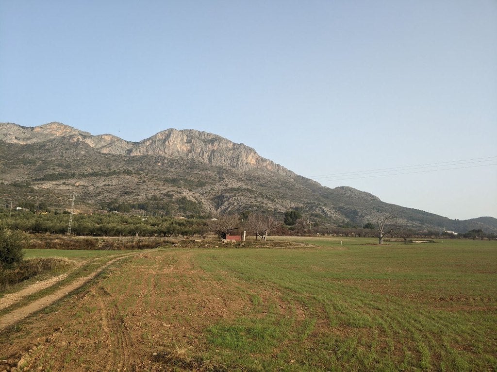Terrenys on s'ubicaria la planta fotovoltaïca, amb el Benicadell al fons