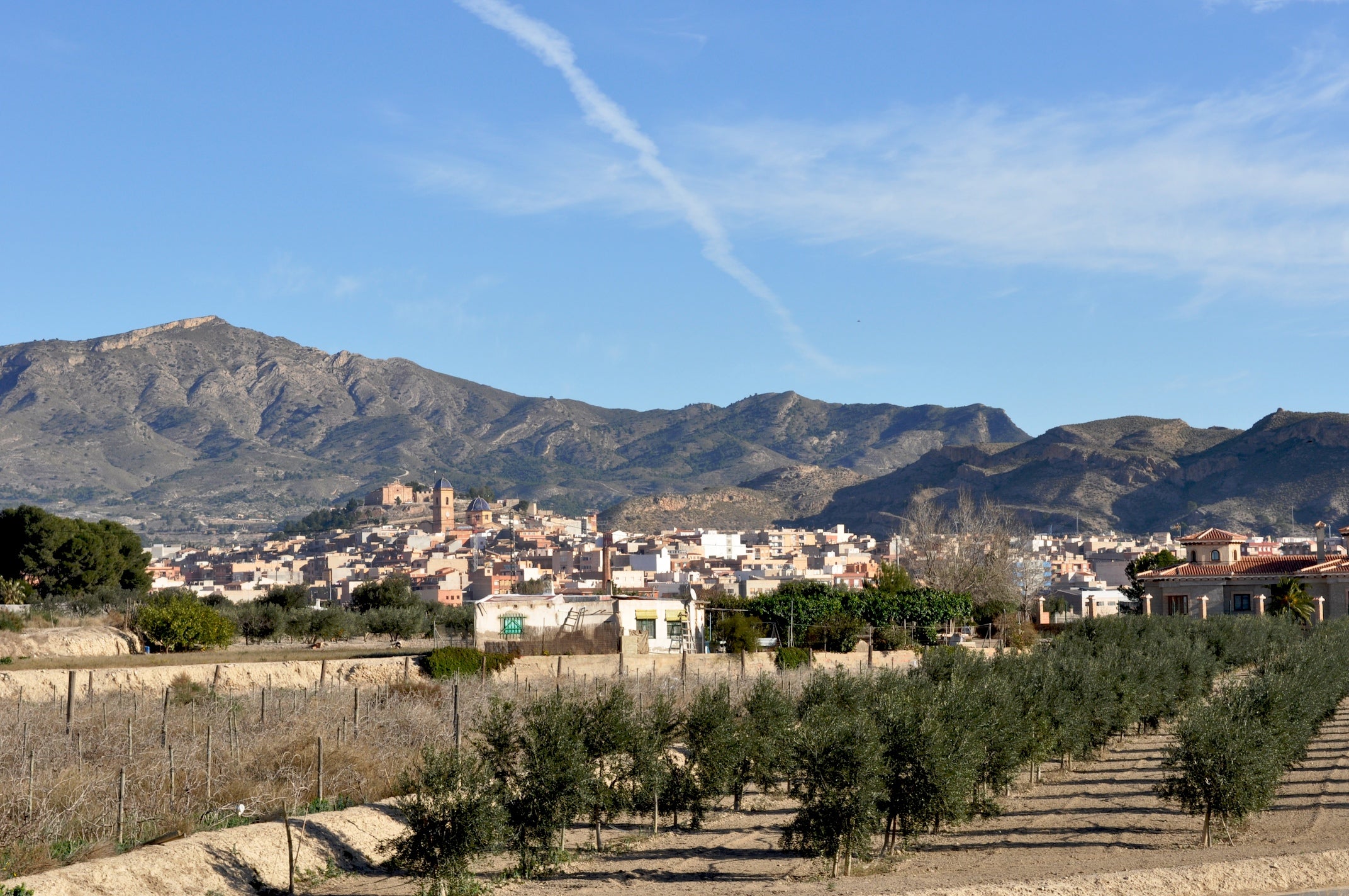 Agost (l'Alacantí)