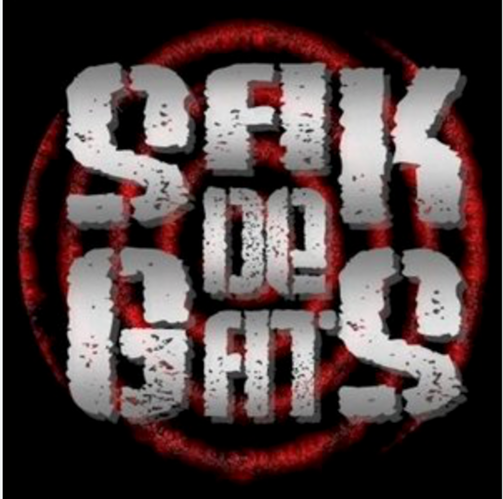 Tal dia com hui del 2008 Sak de Gats va actuar al Celes, a Benifairó de la Valldigna