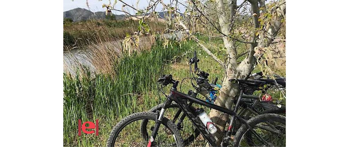 Passejar en bici per la marjal de Pego-Oliva