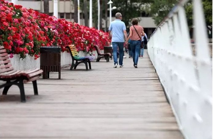 Pont de les Flors de València