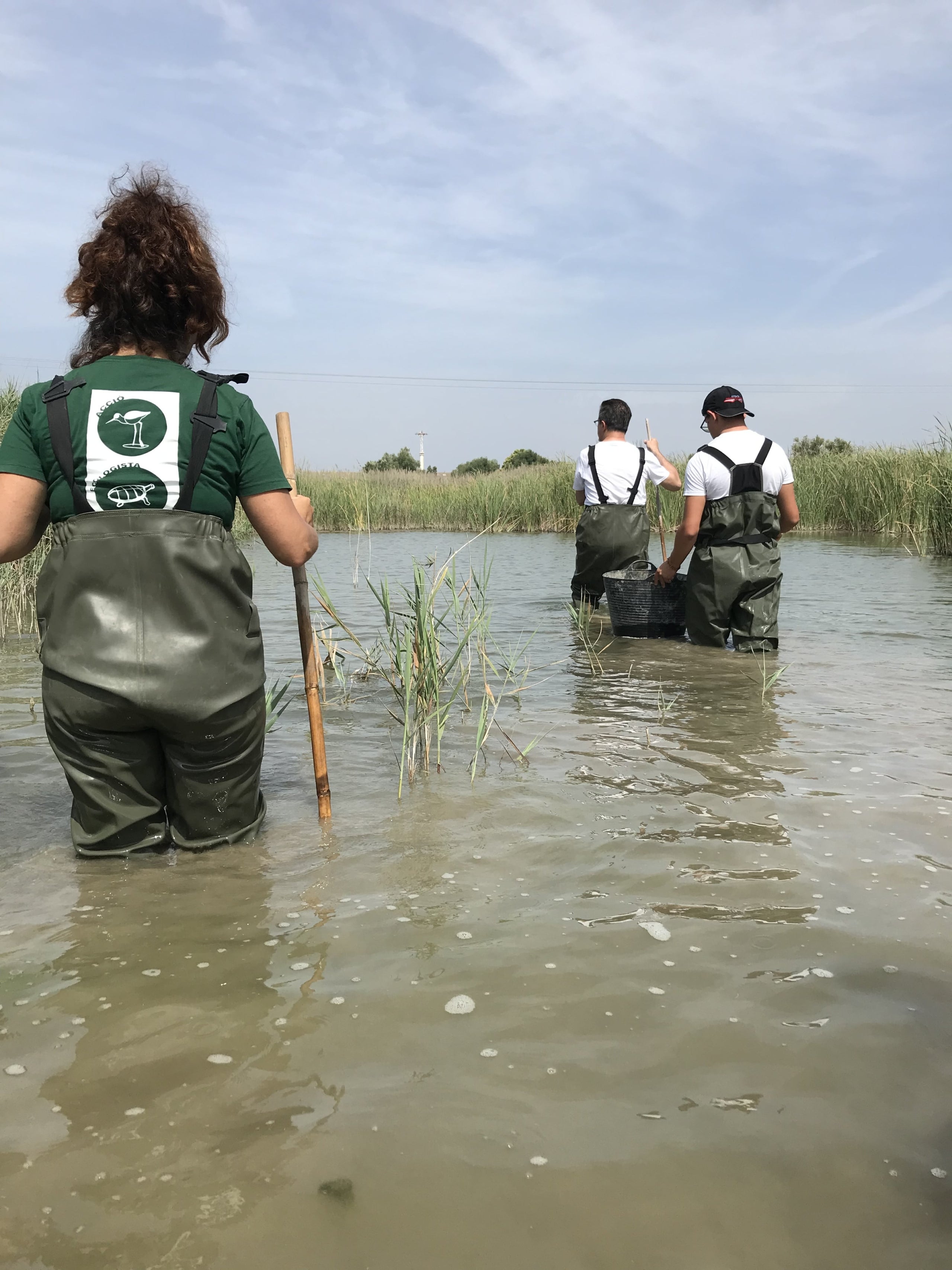 El Projecte Emys localitza dues tortugues d’aigua ibèriques a la Marjal de Rafalell i Vistabella