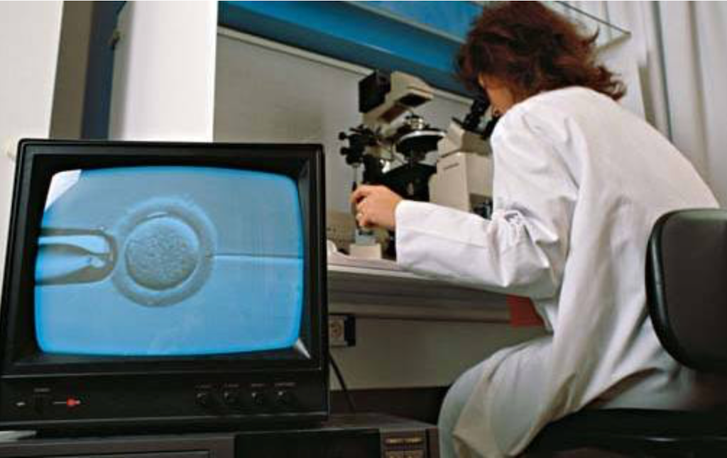 Fa 10 anys, a DLV: «El PP es planteja excloure les dones soles i les lesbianes de la reproducció assistida pública»