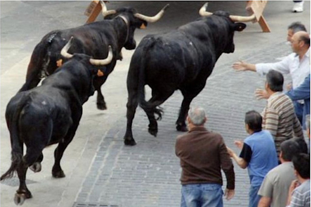Mor la dona de 74 anys que va ser envestida per una vaca a Almàssera