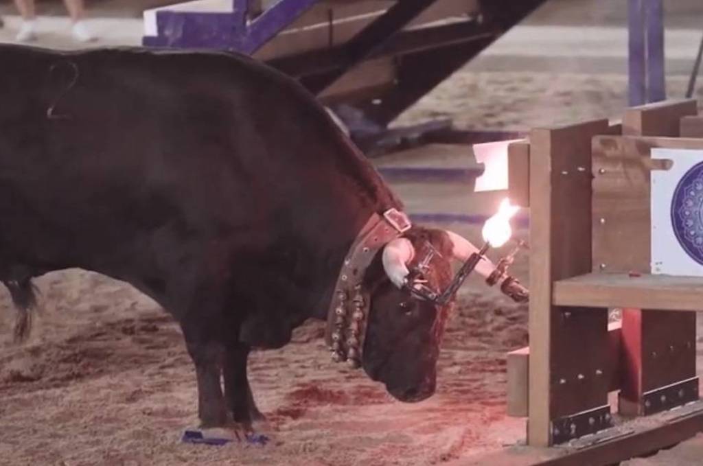 Un bou embolat fereix un home de 58 anys a la Vall d’Uixó